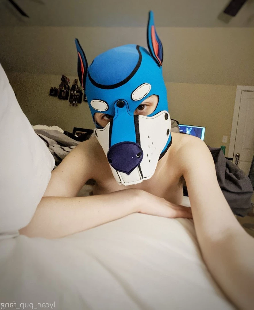 Pup's Kinky Den [ lycan_pup_fang ] Onlyfans leaked photo 5426113 on Hotleaks.tv