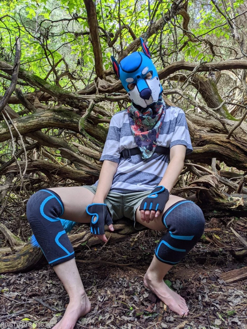 Pup's Kinky Den [ lycan_pup_fang ] Onlyfans leaked photo 5426167 on Hotleaks.tv