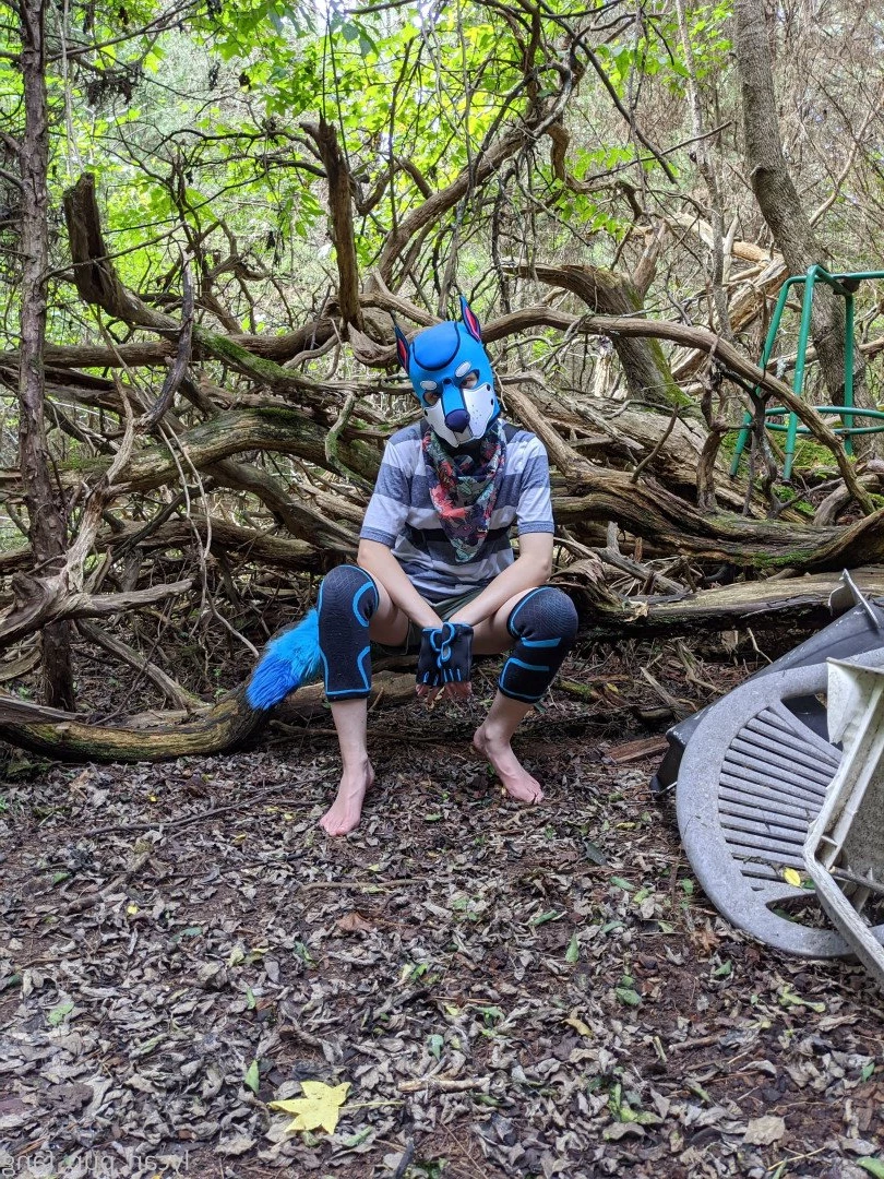 Pup's Kinky Den [ lycan_pup_fang ] Onlyfans leaked photo 5426283 on Hotleaks.tv