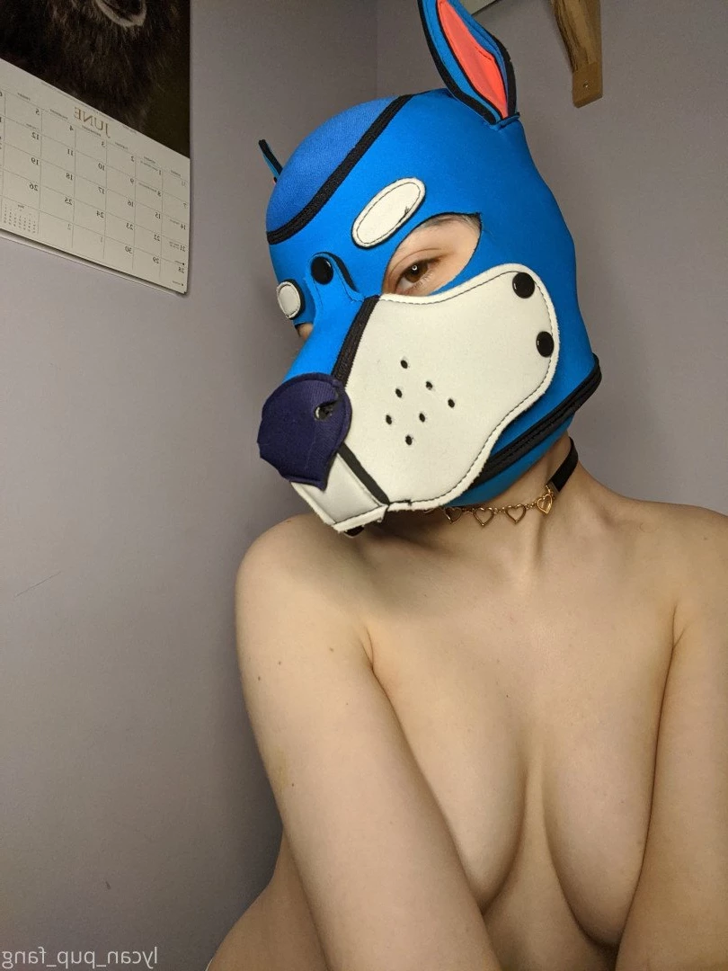 Pup's Kinky Den [ lycan_pup_fang ] Onlyfans leaked photo 5426739 on Hotleaks.tv