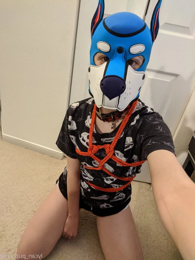 Pup's Kinky Den [ lycan_pup_fang ] Onlyfans leaked photo 5427003 on Hotleaks.tv