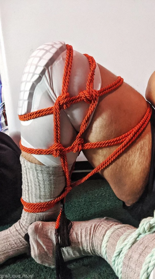 Pup's Kinky Den [ lycan_pup_fang ] Onlyfans leaked photo 5427144 on Hotleaks.tv