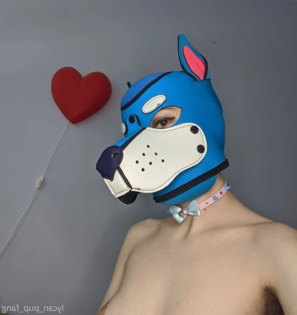 Pup's Kinky Den [ lycan_pup_fang ] Onlyfans leaked photo 9073762 on Hotleaks.tv