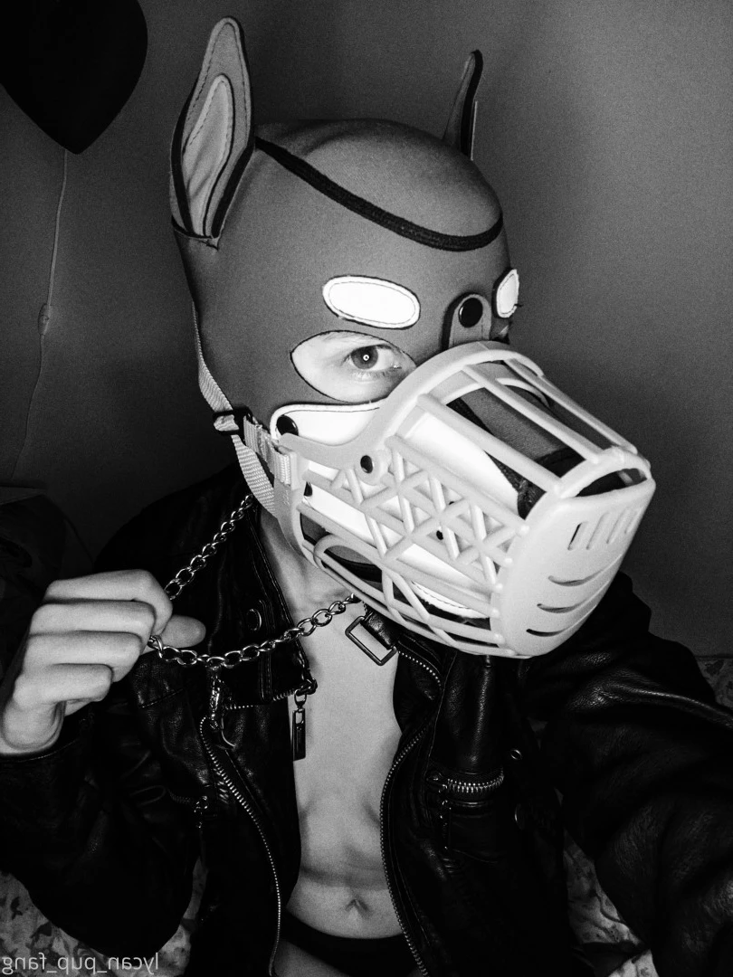 Pup's Kinky Den [ lycan_pup_fang ] Onlyfans leaked photo 9073781 on Hotleaks.tv
