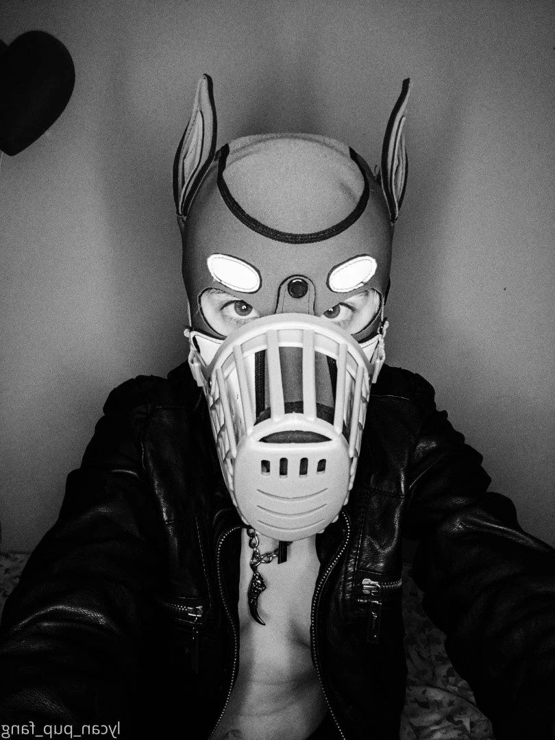 Pup's Kinky Den [ lycan_pup_fang ] Onlyfans leaked photo 9074004 on Hotleaks.tv
