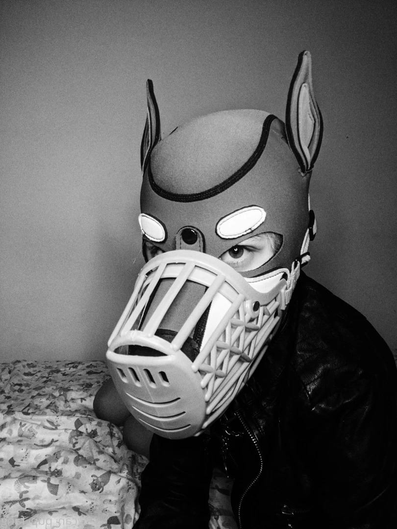 Pup's Kinky Den [ lycan_pup_fang ] Onlyfans leaked photo 9074076 on Hotleaks.tv