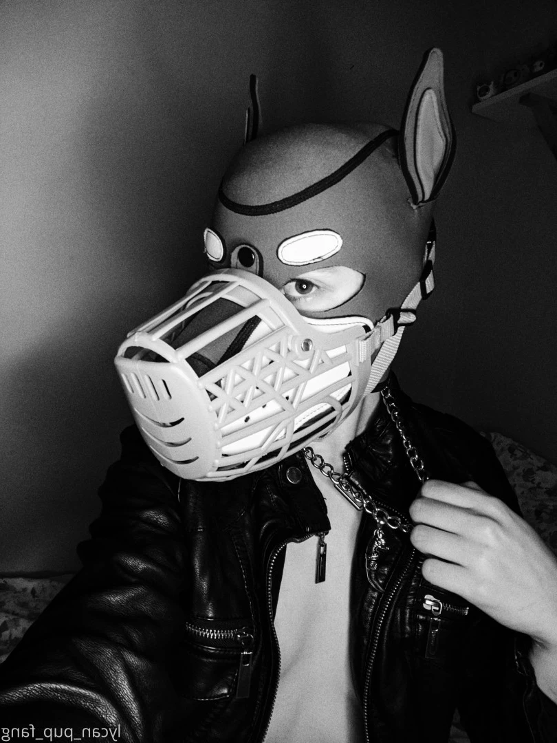 Pup's Kinky Den [ lycan_pup_fang ] Onlyfans leaked photo 9074115 on Hotleaks.tv