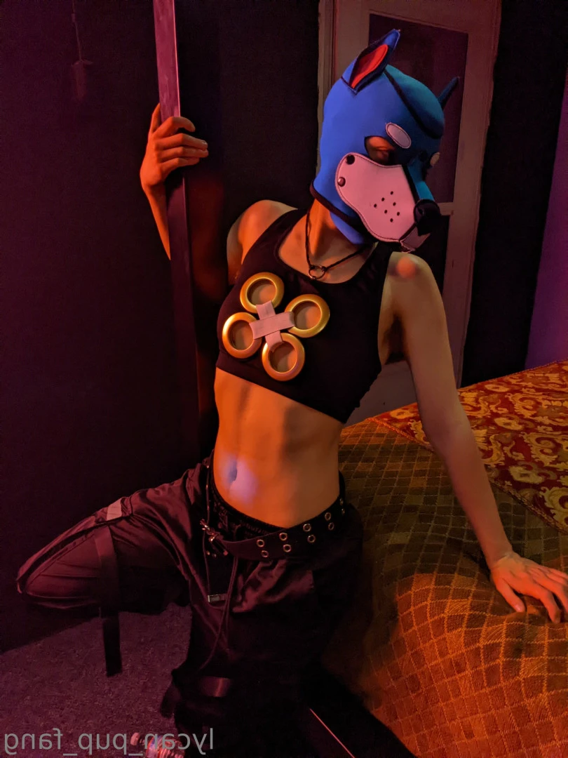 Pup's Kinky Den [ lycan_pup_fang ] Onlyfans leaked photo 9074165 on Hotleaks.tv