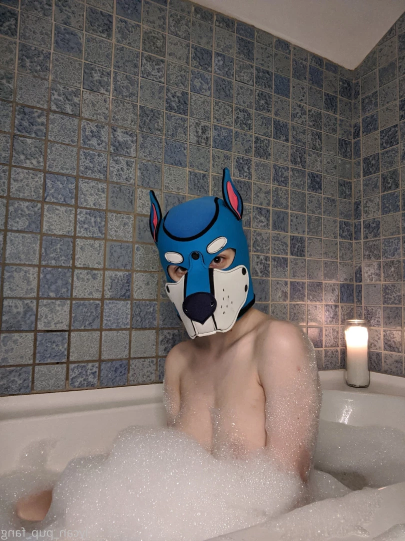 Pup's Kinky Den [ lycan_pup_fang ] Onlyfans leaked photo 9074200 on Hotleaks.tv
