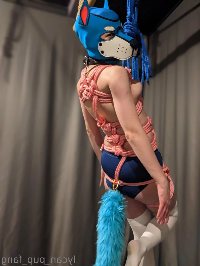 Pup's Kinky Den [ lycan_pup_fang ] Onlyfans leaked photo 10707679 on Hotleaks.tv