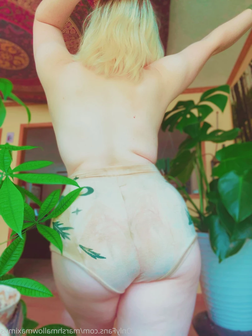 marshmallowmaximus Onlyfans leaked photo 11156777 on Hotleaks.tv
