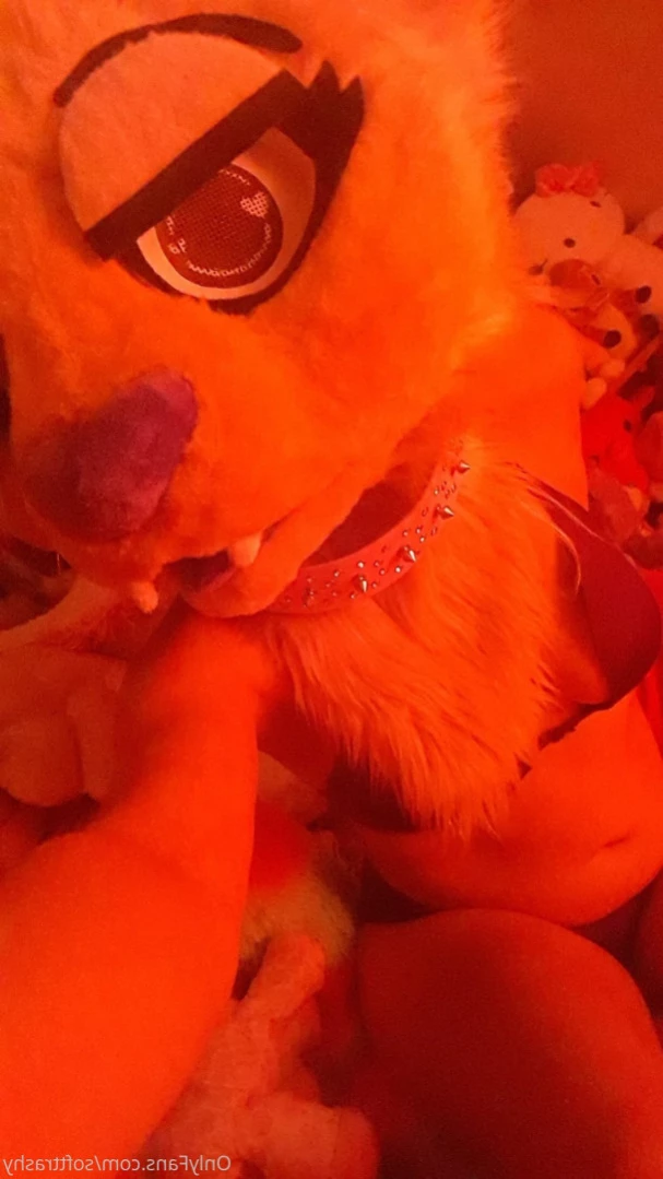Trashy Lil Kitty [ softtrashy ] Onlyfans leaked photo 13552014 on Hotleaks.tv