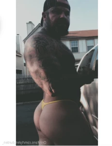 15387053