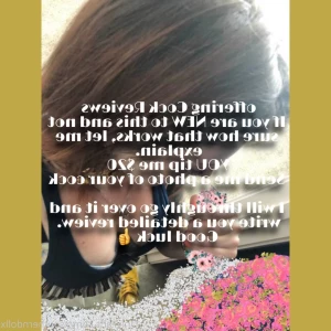 4762647