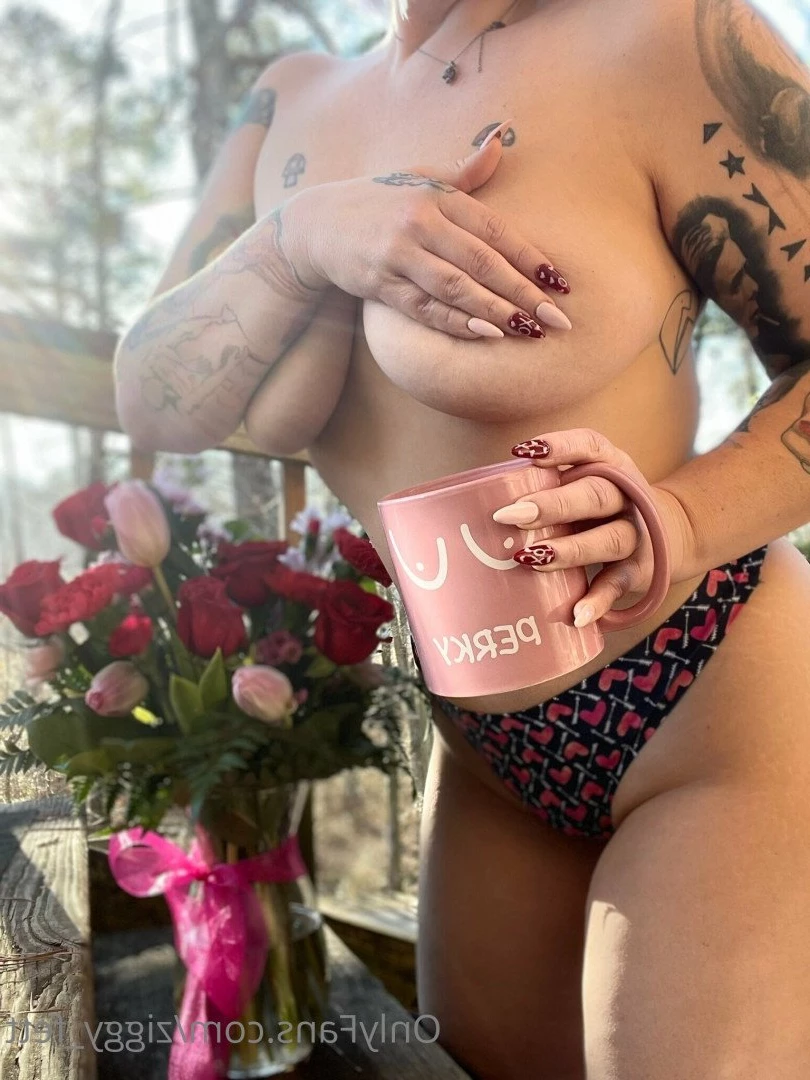 Fox [ ziggy_fett ] Onlyfans leaked photo 4746210 on Hotleaks.tv