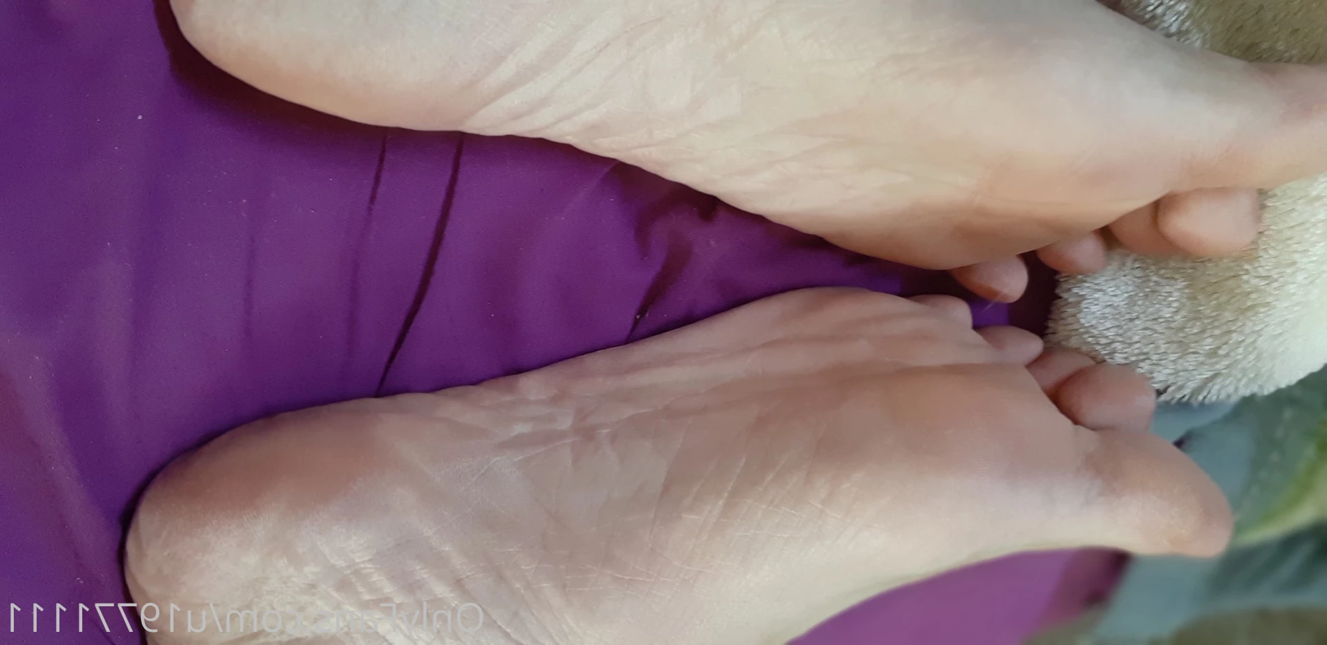 🍑𝐁𝐈𝐆 𝐀𝐒𝐒🍑💎 𝔹𝕃𝕌𝔼𝔾𝕀ℝ𝕃𝟞𝟡💦🤫𝙋𝙊𝙍𝙉 𝙁𝙍𝙀𝙀🤫 [ lirio93 ] Onlyfans leaked photo 14753817 on Hotleaks.tv