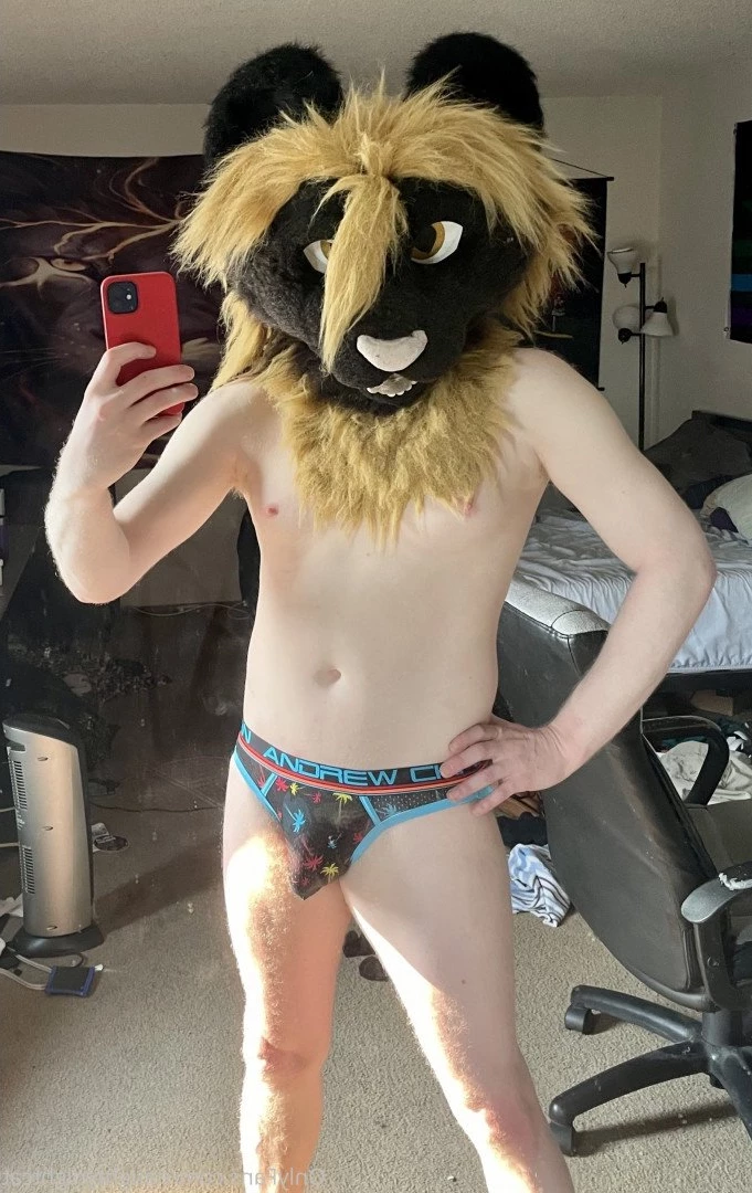 Pup Lyons [ naughtynightcat ] Onlyfans leaked photo 4869118 on Hotleaks.tv