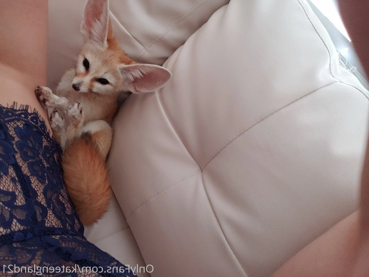 Kate England [ kateengland21 ] Onlyfans leaked photo 587180 on Hotleaks.tv