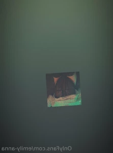 7666121