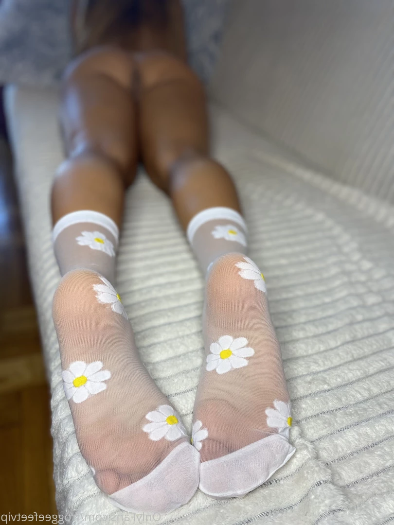 Froggee Feet VIP [ froggeefeetvip ] Onlyfans leaked photo 7492895 on Hotleaks.tv