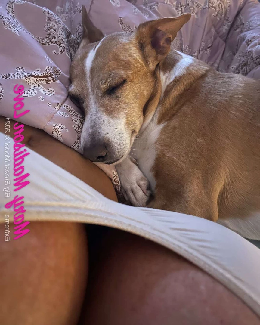 Mary Madison [ marymadison ] Onlyfans leaked photo 7311718 on Hotleaks.tv