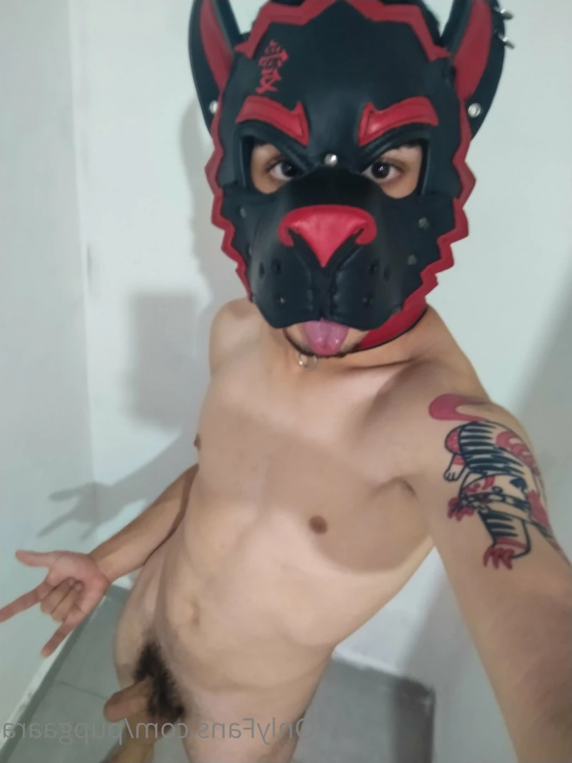 Pup Gaara [ pupgaara ] Onlyfans leaked photo 6825323 on Hotleaks.tv