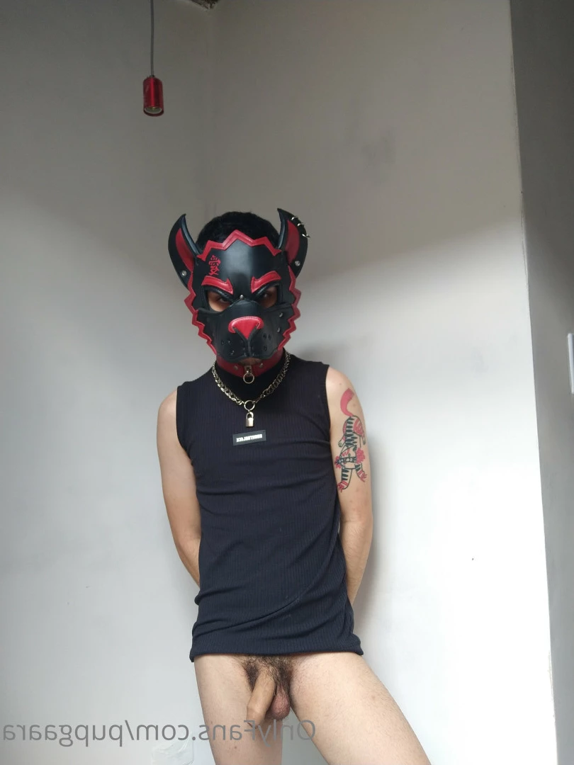 Pup Gaara [ pupgaara ] Onlyfans leaked photo 6825575 on Hotleaks.tv