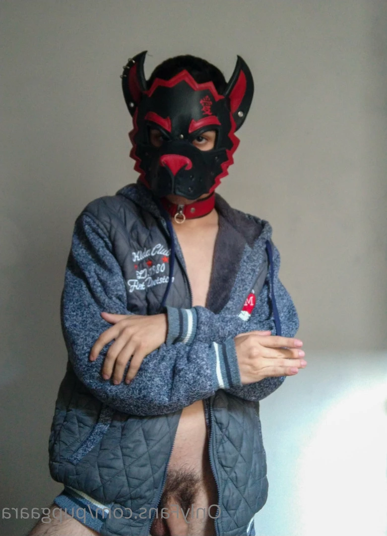 Pup Gaara [ pupgaara ] Onlyfans leaked photo 6825611 on Hotleaks.tv