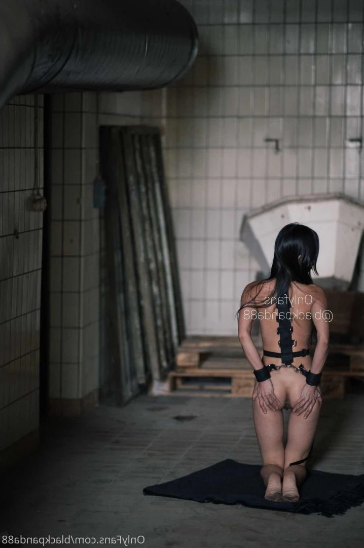 xblackpanda88x Onlyfans leaked photo 6491118 on Hotleaks.tv