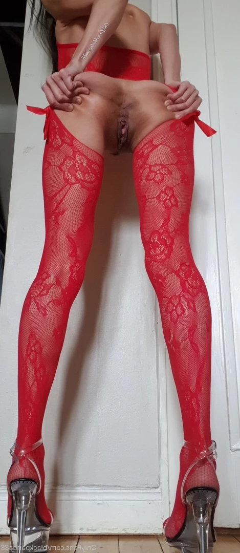 xblackpanda88x Onlyfans leaked photo 6493766 on Hotleaks.tv