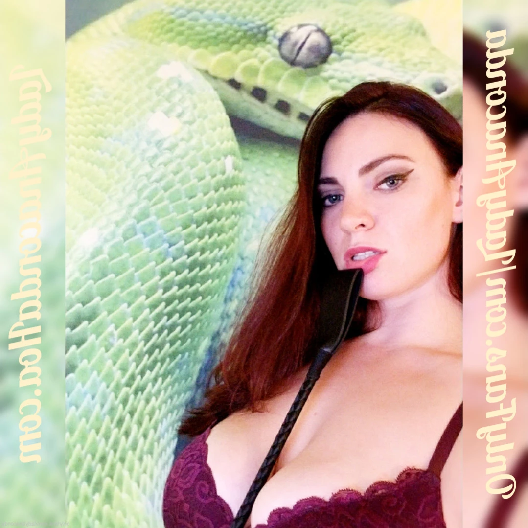 ANACONDA NOIRE [ anacondanoire ] Onlyfans leaked photo 15059694 on Hotleaks.tv