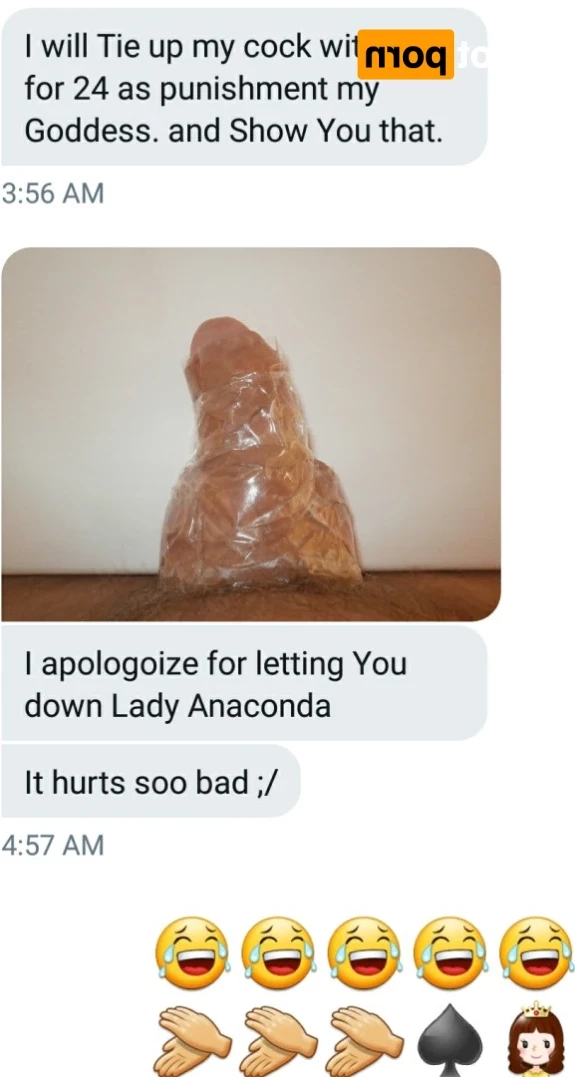ANACONDA NOIRE [ anacondanoire ] Onlyfans leaked photo 15119462 on Hotleaks.tv