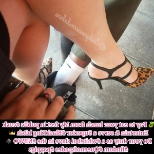 16252562