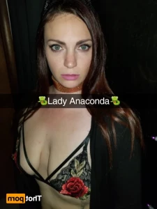 16291726