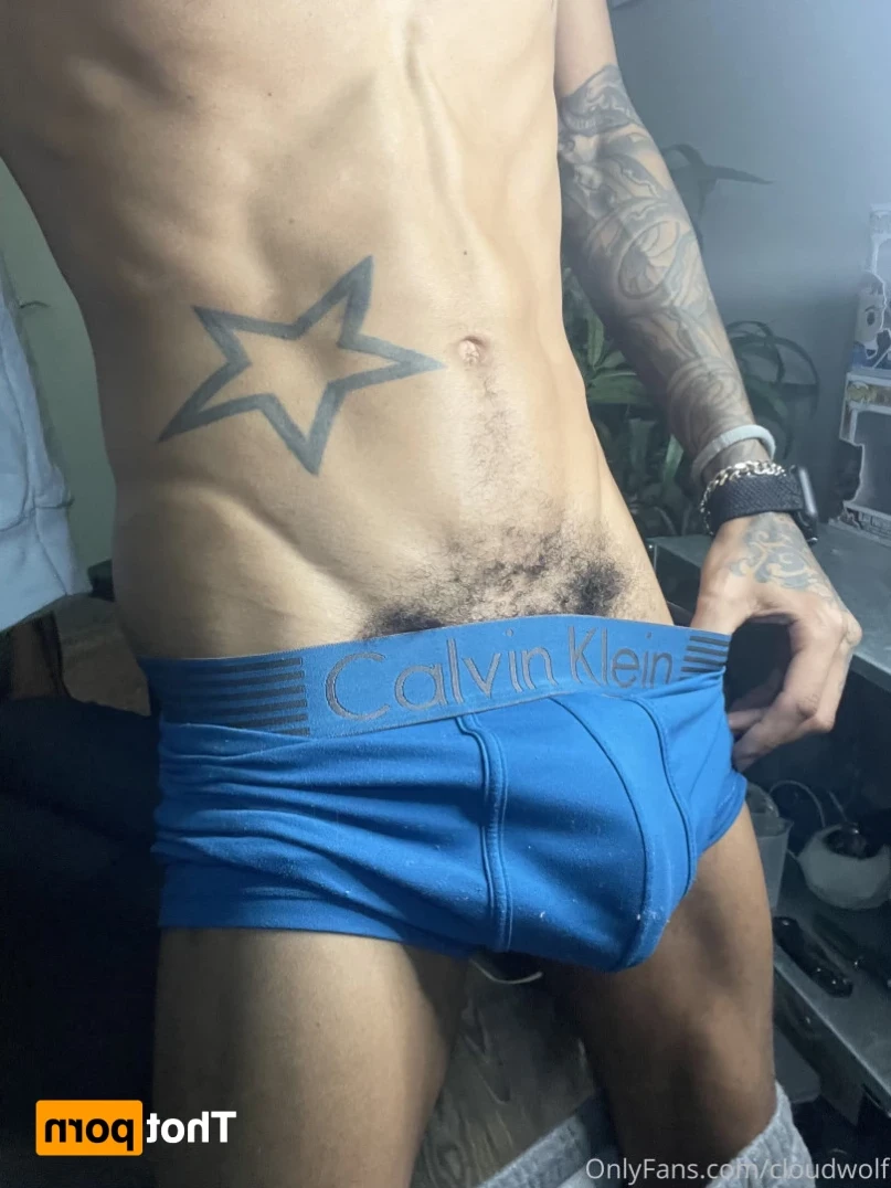 cloudwolf Onlyfans leaked photo 12873188 on Hotleaks.tv