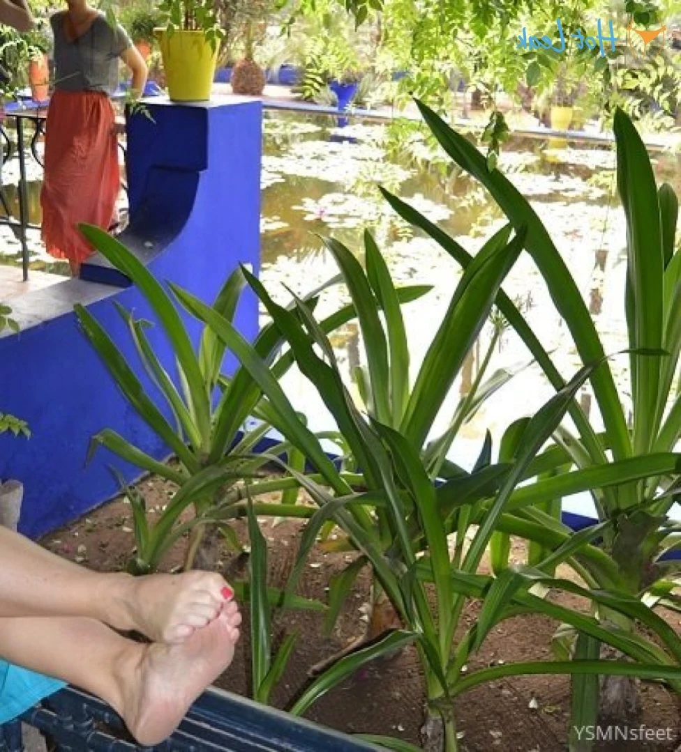 deliciousdutchfeet Onlyfans leaked photo 13910987 on Hotleaks.tv