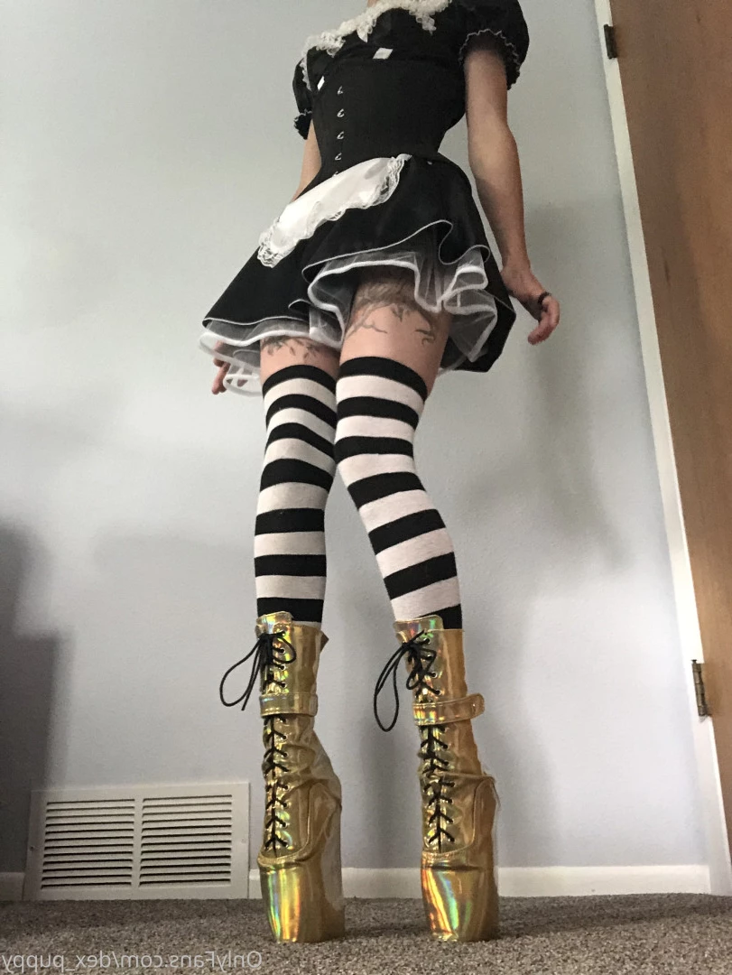 dex_puppy Onlyfans leaked photo 7907248 on Hotleaks.tv