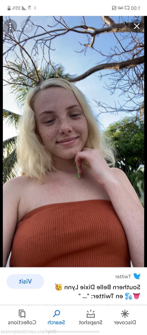 Dixie Lynn🤤😈 [ dixielynnxxx ] Onlyfans leaked photo 13956020 on Hotleaks.tv