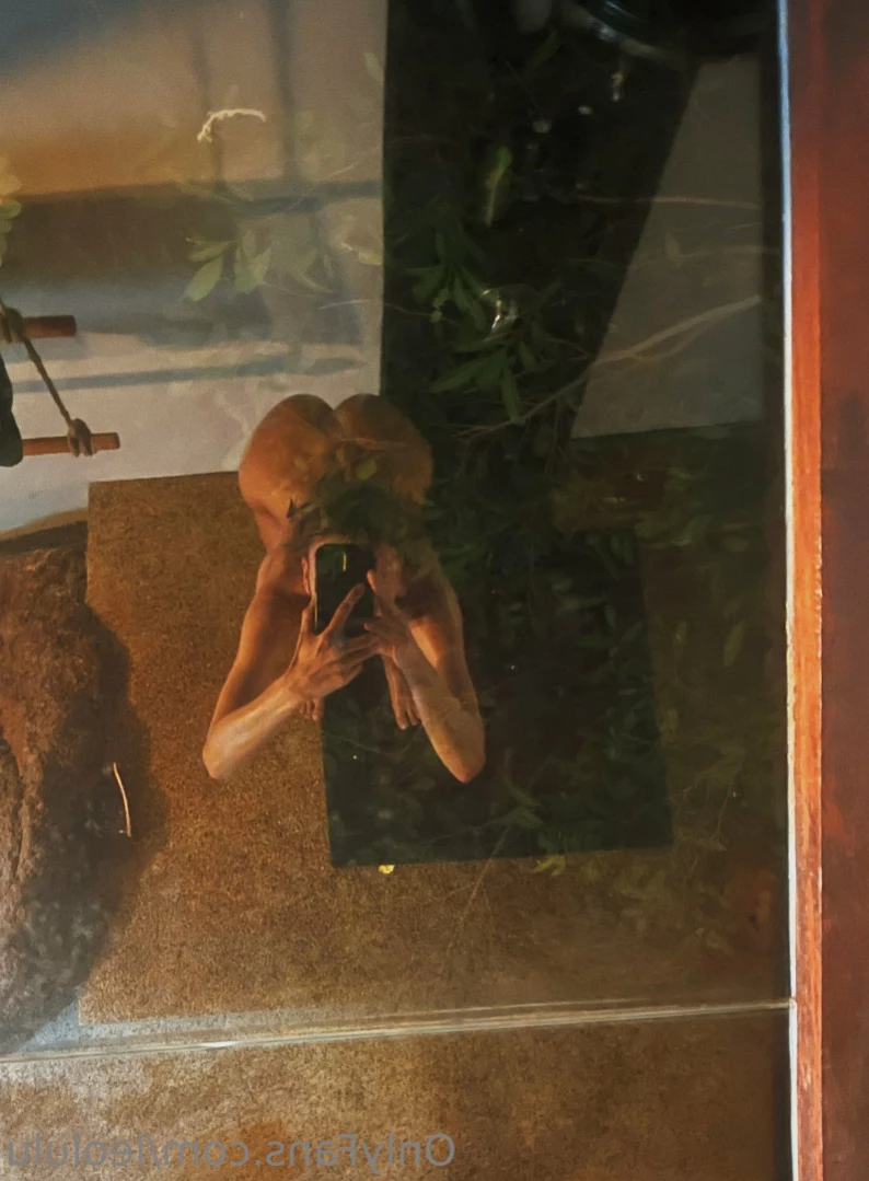 leolulu Onlyfans leaked photo 15766386 on Hotleaks.tv