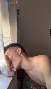 16952679