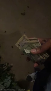 13978373