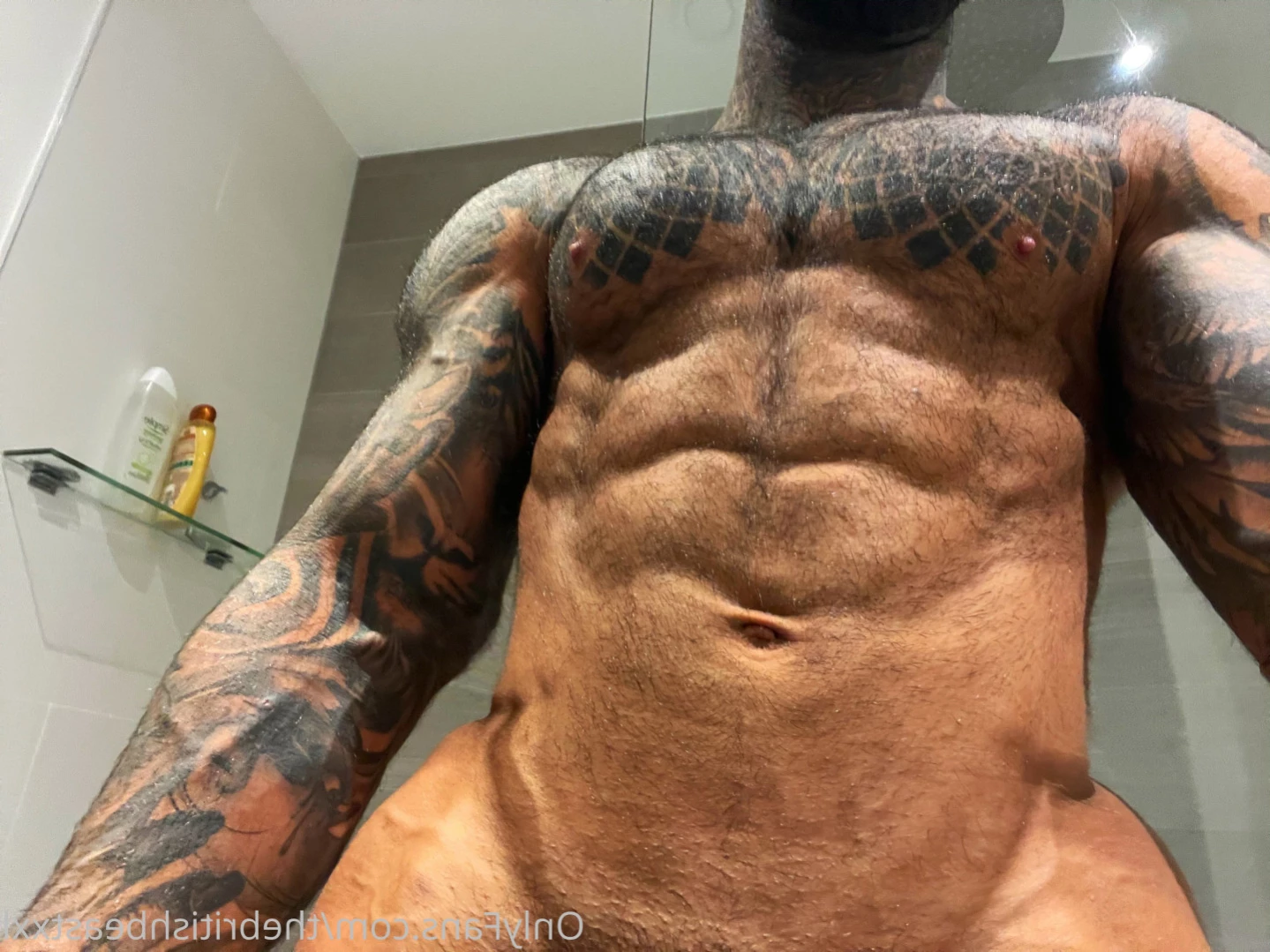 thebritishbeastxxl Onlyfans leaked photo 14475267 on Hotleaks.tv