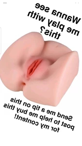 9027381