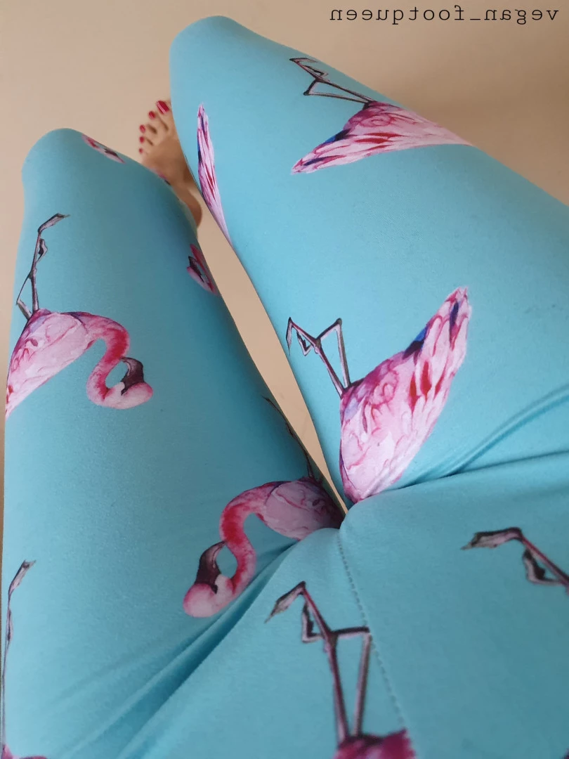 vegan_footqueen Onlyfans leaked photo 10209045 on Hotleaks.tv