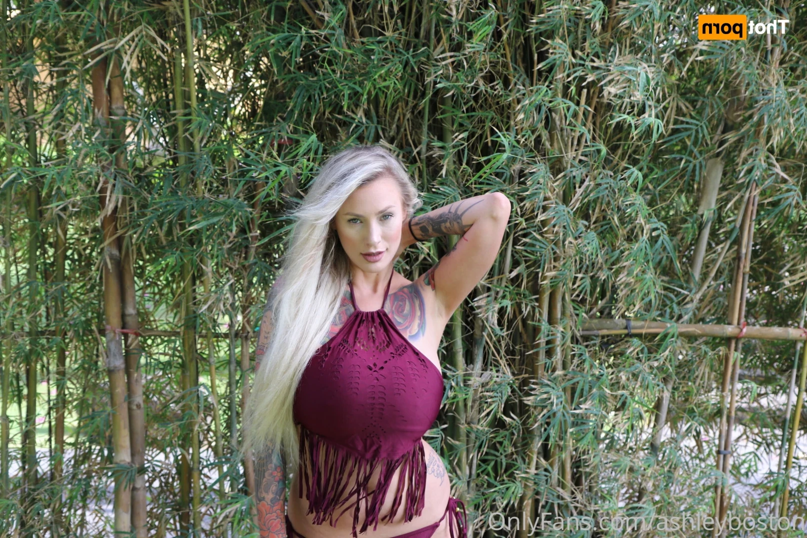 Ashley B [ ashleyboston ] Onlyfans leaked photo 10966248 on Hotleaks.tv
