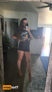 16136741