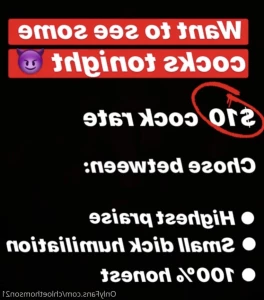 16311048