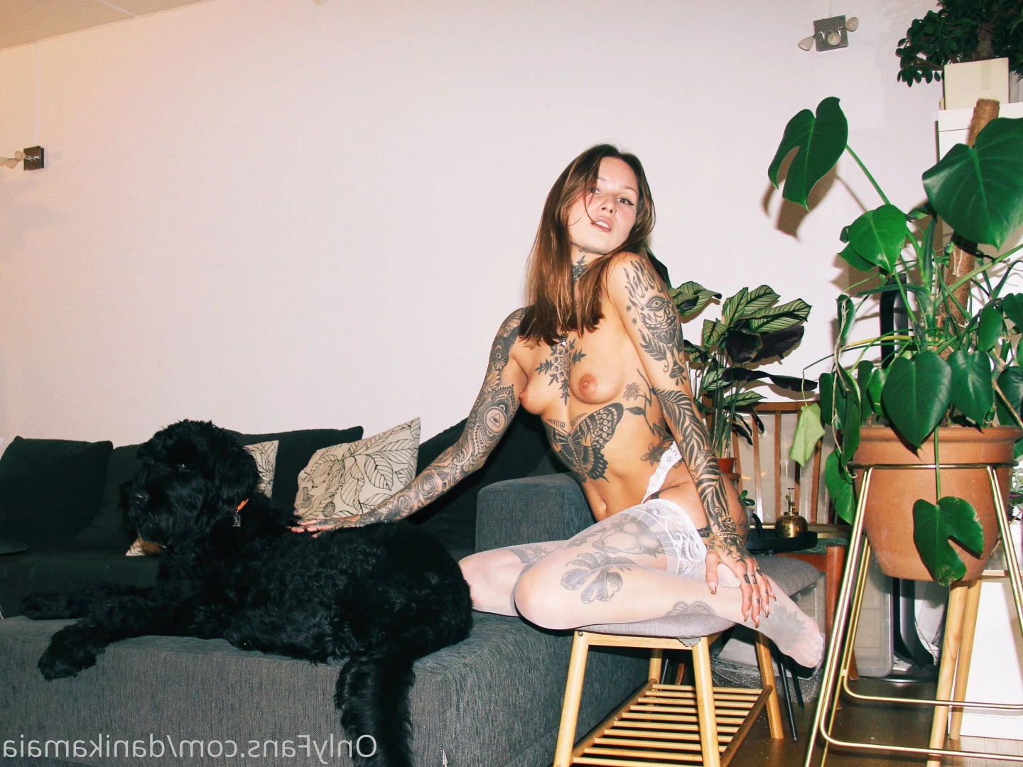Danika Maia [ danikamaia ] Onlyfans leaked photo 9073770 on Hotleaks.tv