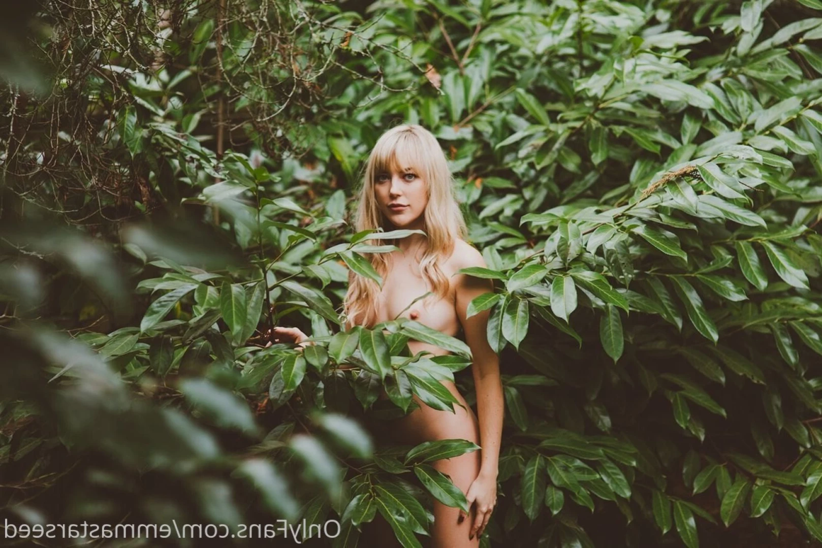emma ☽ the sex witch ･ﾟ✧ ˚˖⁺ [ emmastarseed ] Onlyfans leaked photo 13120421 on Hotleaks.tv