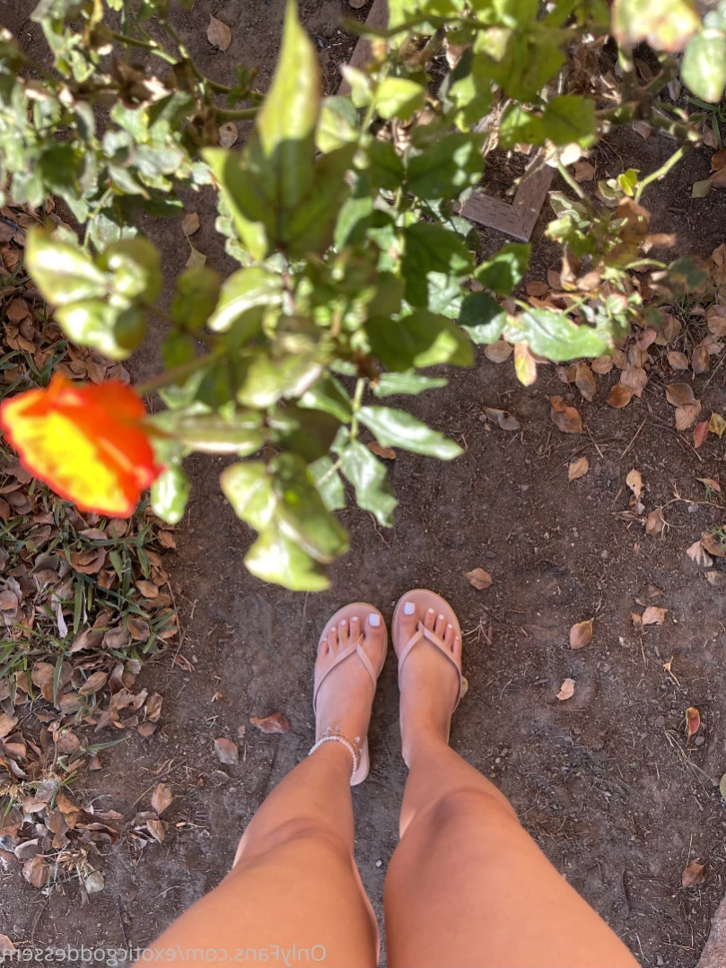 𝑔𝑜𝒹𝒹𝑒𝓈𝓈 𝑒𝓂 ⭐️ [ exoticgoddessem ] Onlyfans leaked photo 13336697 on Hotleaks.tv